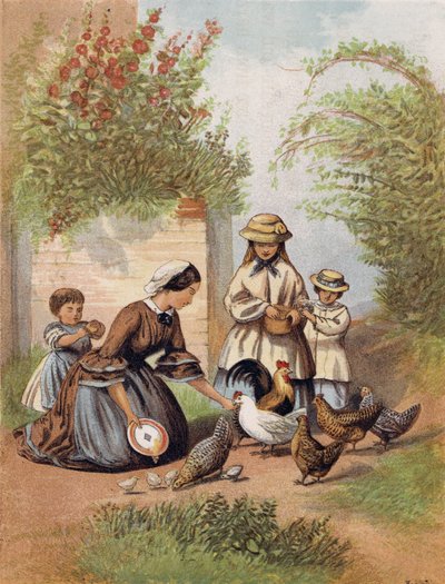 Alimentando a las gallinas de English School